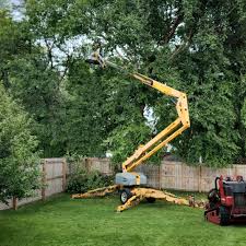 Reliable Erie, KS  Tree Services Solutions